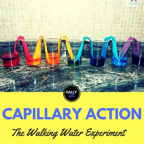 Capillary Action Experiment - Paper Towel Version: The Case Of The ...