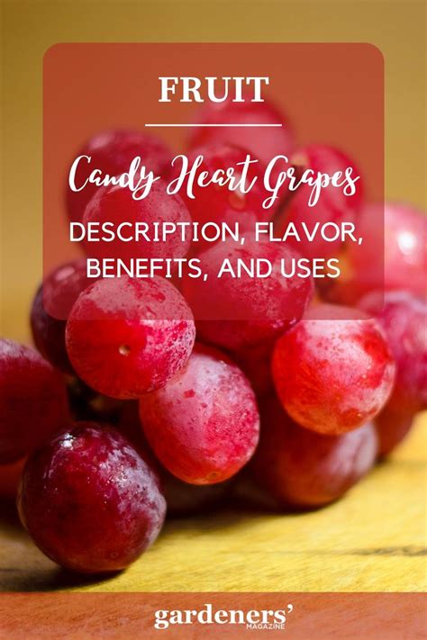 Candy Heart Grapes: Flavor, Benefits, And Uses - Gardeners' Magazine