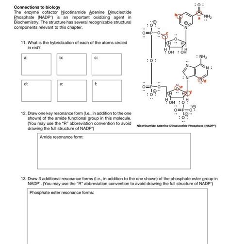 Connections to biology The enzyme cofactor | Chegg.com