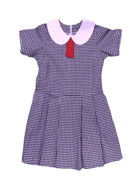 Franklin School Dress – Workin' Gear Schools