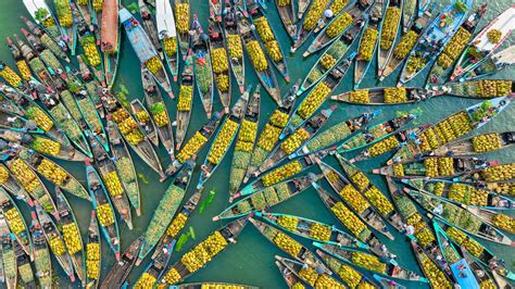 Bing HD Wallpaper Aug 1, 2024: Floating fruit market, Kaptai Lake ...