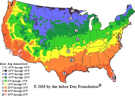 Hardiness Zone Map at arborday.org