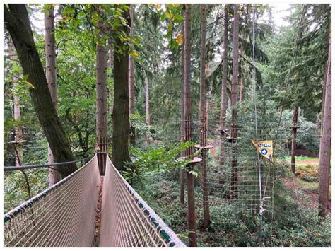 High Ropes Climbing & Zip Lining at Go Ape Thetford Forest - England ...