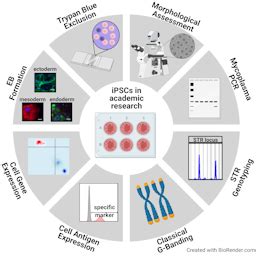 Academic application of Good Cell Culture Practice for induced ...