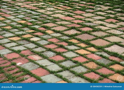 Block Paved Area With Grass Pattern Of Insertion Stock Photo - Image ...