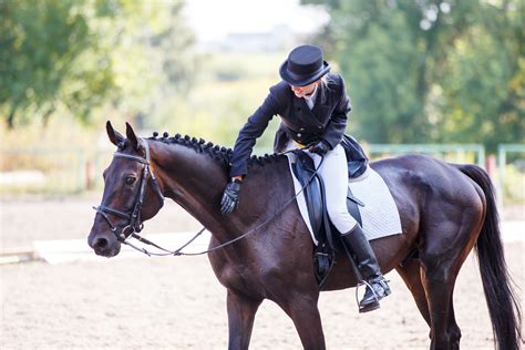 Improve Your Dressage Scores with These 5 Tips