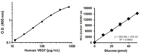 Calculating concentration from a standard curve | Abcam