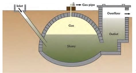 Backyard Biogas Production from Animal Manure: Process and Utilization ...