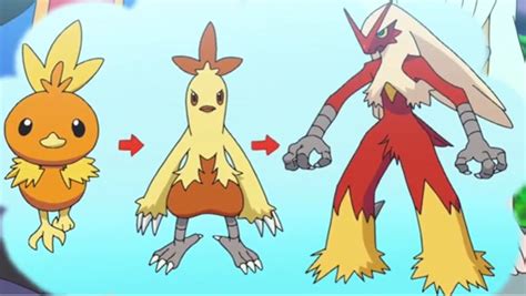 Torchic Evolution Line by marcusperez824 on DeviantArt