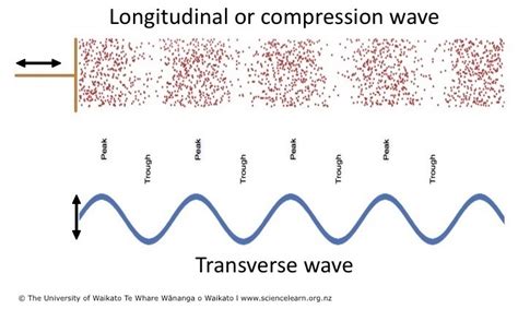 Diagram Of Transverse Wave