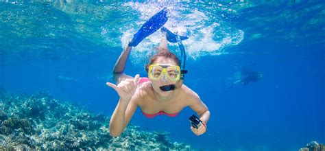 snorkeling - Cairns Cruise