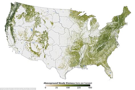 Nasa maps trees of America for the first time and shows forest covers a ...