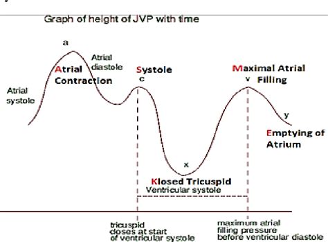 Jugular Venous Pressure Measurement