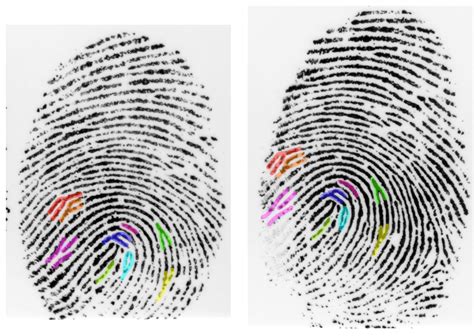 Blood, sweat and fingerprints: the science behind crime scene ...