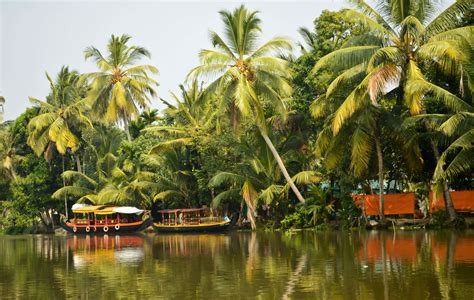 The Backwaters of Kerala for Honeymooners | Backwater Honeymoon in ...