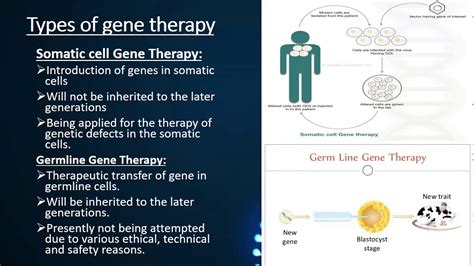 Introduction to Gene Therapy - YouTube