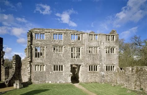 Hidden Magnolias: Berry Pomeroy Castle