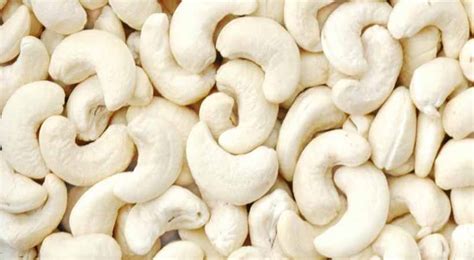 CASHEW NUT PROCESSING - Raw Cashew Nuts