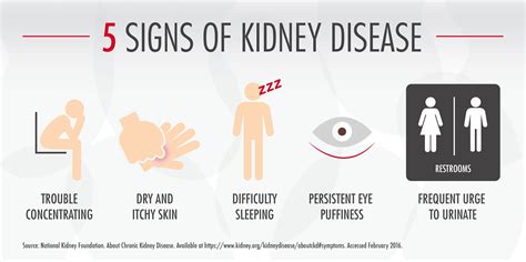 What Is Kidney Failure Its Causes Symptoms And Treatment, 44% OFF