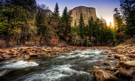 Yosemite's Upper Pines Campground: 7 Pieces of Advice from Campers