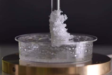 Self-amplifying crystallization produces a Christmas tree of salt ...