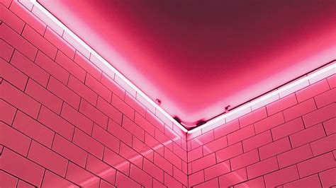 Wallpaper Wall, Light, Pink, Neon - XFXWallpapers