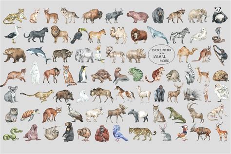 "ANIMALS" World Encyclopedia | Animal illustration, Animal paintings ...