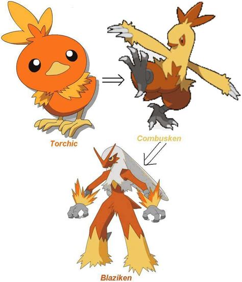 Torchic Evolution