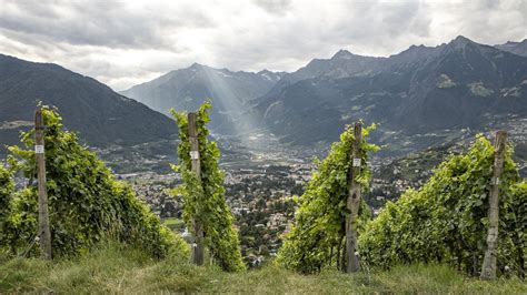 Alto Adige Wine - Exquisite Wines from Northern Italy