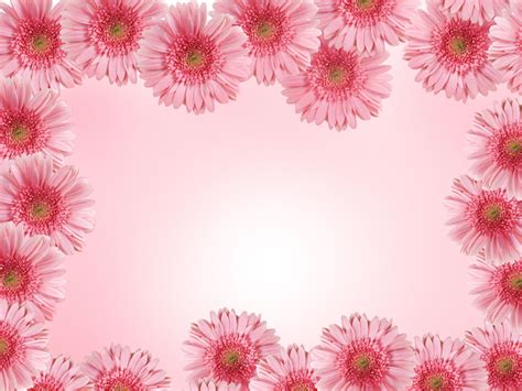 Flower Background Images For Powerpoint | Best Flower Site