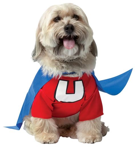 Superhero Costumes for Your Dog | WebNuggetz.com