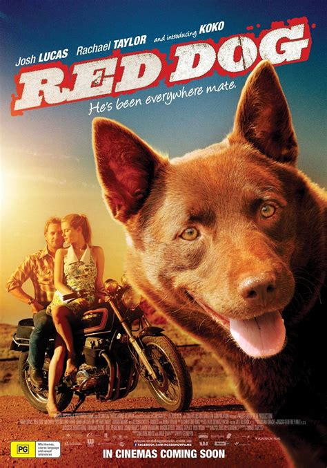 Red Dog Picture 1