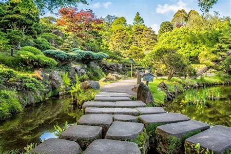 golden gate park botanical garden price - Service Binnacle Image Archive