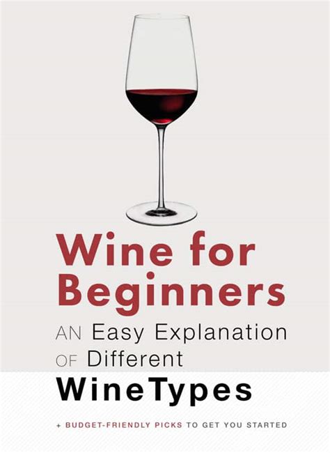 Wine for Beginners: The Different Types of Wine Explained