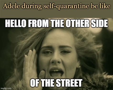 adele hello Memes - Imgflip