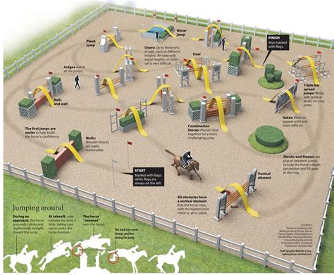 Infographic design | Horse jumping, Show horses, Show jumping