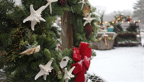 Christmas on Cape Cod: 5 Events You Shouldn’t Miss - Boston Magazine