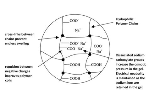 Structure of Super Absorbent Polymers and How are They Produced?