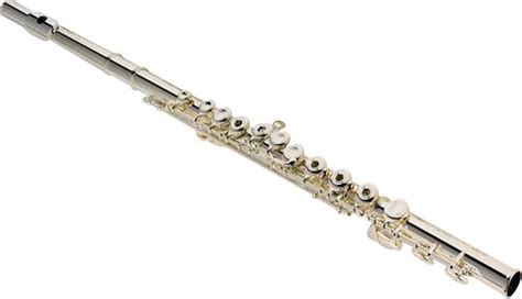 Flute Lessons - Hilliard Community Music School