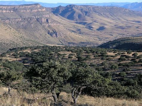 Chihuahuan Desert & Ecoregion (Mexico) | LAC Geo