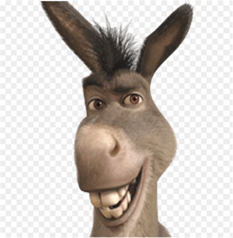 Donkey Shrek Smile