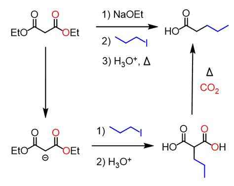 Malonic Ester Synthesis - Chemistry Steps