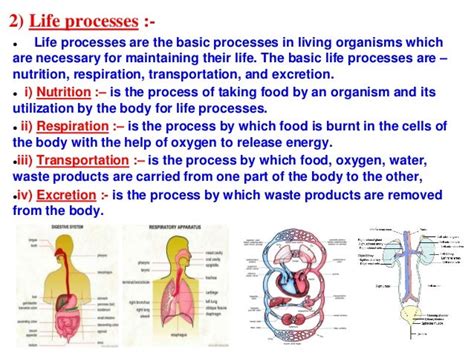 Life processes