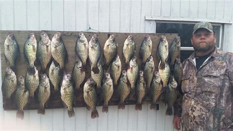 Photos | reelfoot-fishg-guide