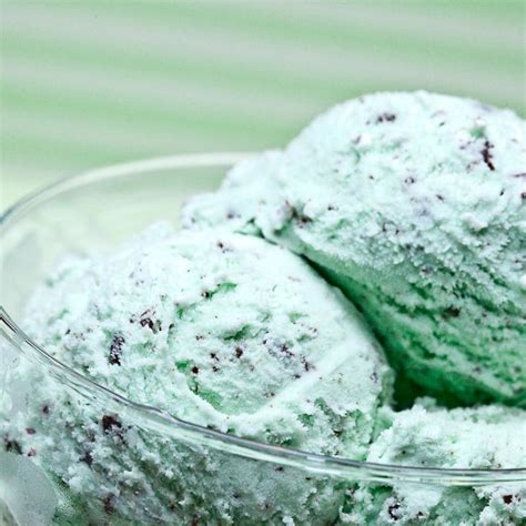 Homemade Mint Chocolate Chip Ice Cream | Chew Out Loud