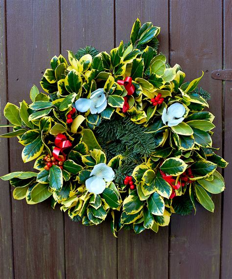 Fresh Holly Wreaths - Lyonshall Nurseries and Garden Centre | Herefordshire