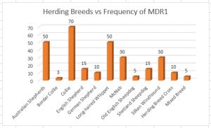 MDR1 - Herding breeds may have a potentially deadly gene defect | KiKi ...