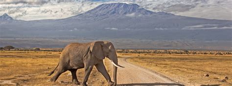 Mount Kilimanjaro View Point in Kenya - Kim'zebra Adventures & Safaris