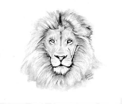 Lion Realistic Drawing-lion King-graphite Pencil-realistic Animal ...