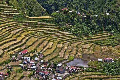 Banaue Batad Rice Terraces Ifugao Province Philippines Aug 2011 15